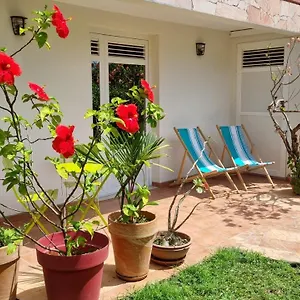 La Visite Tropicale Appartement